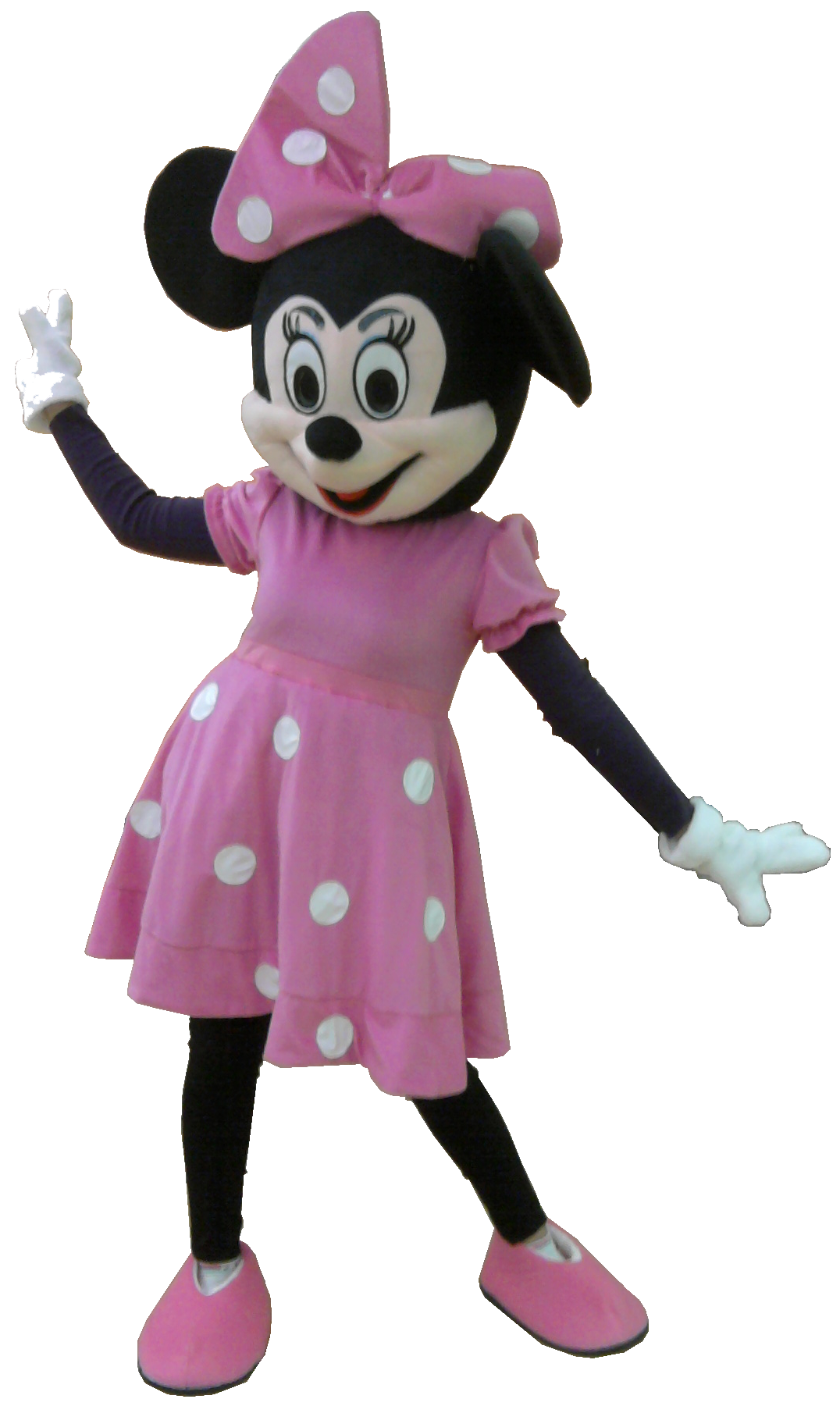 Noleggio Mascotte Minnie