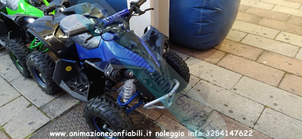 Noleggio mini quad