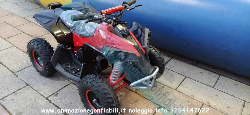 Noleggio mini quad