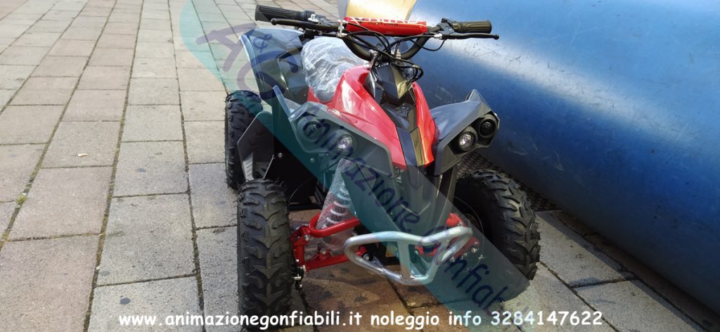 Noleggio mini quad