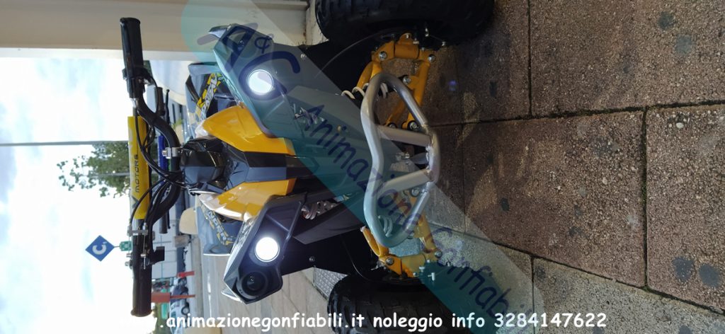 Noleggio mini quad
