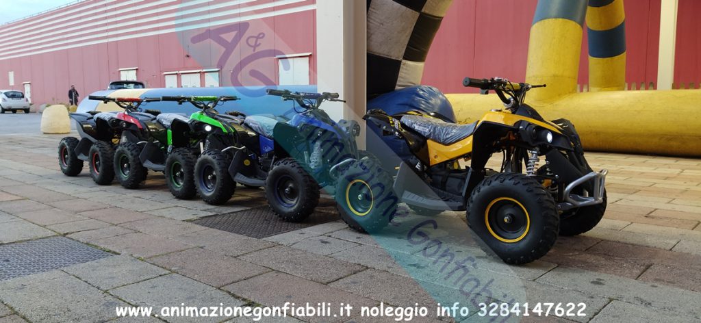 Noleggio mini quad