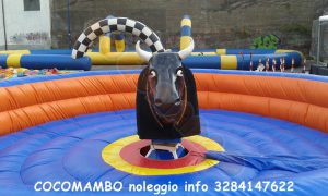 Toro meccanico