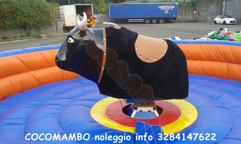 Noleggio toro meccanico