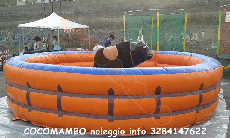 Noleggio toro meccanico