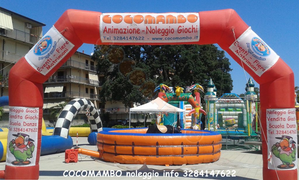 Noleggio toro meccanico