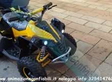 Noleggio mini quad