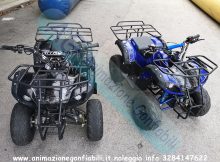 Noleggio quad 125 cc