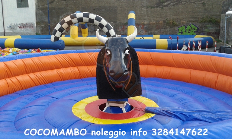 Toro meccanico